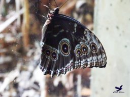 Tiergarten Schönbrunn am 15.05.2025